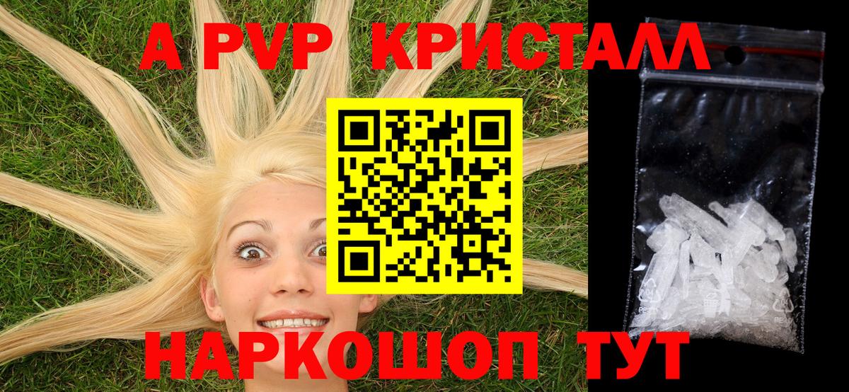 Alfa_PVP СК Королёв