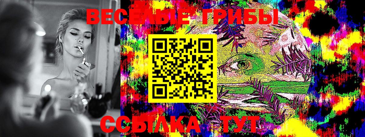 Королёв  Галлюциногенные грибы Cubensis  Псилоцибиновые грибы Psilocybine cubensis  Вход с VPN 