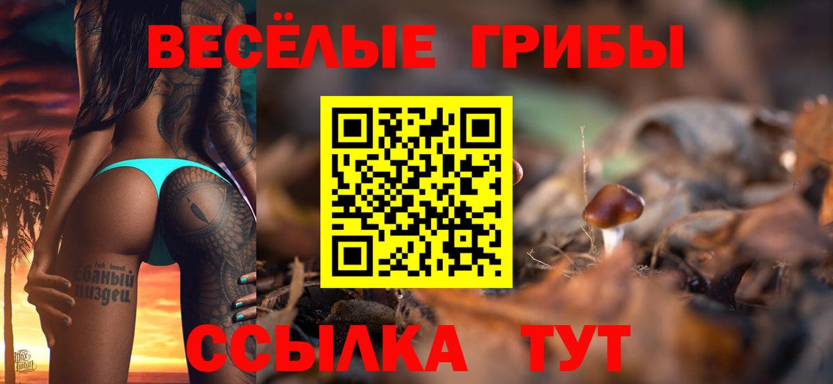Псилоцибиновые грибы Cubensis Королёв